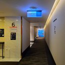 완도 파인비치 호텔 사우나 | [강릉 세인트존스 호텔] 수영장 파인 인피니티풀 온수풀, 사우나 후기