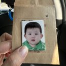 스튜디오조히