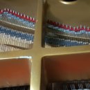 부산신호사랑으로부영 2차 이미지