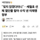 “잊지 않겠다더니”…세월호 선체 절단물 팔아 수익 낸 이재명 정부 이미지