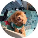 동성초 앞 | [전포 손내향미] 예약 성공한 자만 먹을 수 있는 목포식 갈비와 솥밥 그 맛은