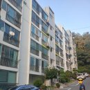 옥포혜성아파트 | 부린이의 거제 옥포혜성 매수기(집살땐 꼼꼼하게 그리고 조급하지 않기!!)