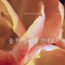 아임파인앤유 이미지