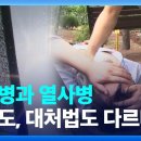 ﻿폭염에 ‘온열 질환’ 비상…증상별 올바른 대처법은? 이미지