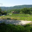 분당-207 이미지