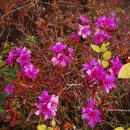 완도읍-12 이미지