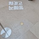 헤이딜러, 포르쉐 718 박스터를 100만 원에? AI 차량진단 ‘차걸고 눈싸움’ 이벤트 직접 보고 온 후기