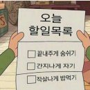 우물집 돼지갈비 | [25년 12월] 월말정산 (feat. 일단 간다 앞으로)