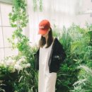 레인코어 이미지