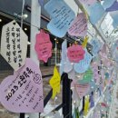 제27회 포천 산정호수 명성산 억새꽃 축제 | 제27회 포천 산정호수 명성산 억새꽃축제 | 가을 억새 축제