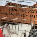 중앙철물점 이미지