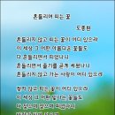 흔들리며 피는 꽃 이미지