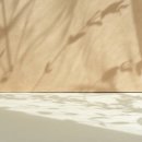 영주부부한의원 | #36. 농구에 진심인 아들 키우기 7