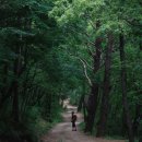 삼둔사가리 이미지