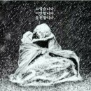 모해 Daum카페