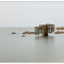 모도 이미지