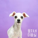 뭉치네 미용실 이미지