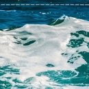 퍼플오션 이미지