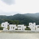 알파카월드 이미지