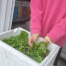 은자 농장 이미지