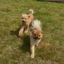 폴앤도기 동남캠퍼스 이미지