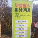 산동교차로 | 구례 산수유꽃축제 :: 노란 세상으로 떠나보기(주차, 가는법, 셔틀버스, 꿀팁 대방출)