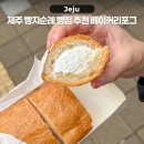 스테이포그
