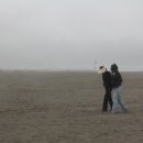 씨싸이드 이미지