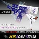 본스칼프 이미지