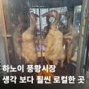 하노이 풍쾅시장 후기｜살아있는 개구리까지 파는 진짜 로컬 야시장 (사진 주의⚠️)