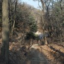 점봉체육관 이미지