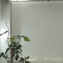 와츠핏레드 이미지