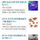 토잉드로잉 군포점