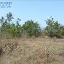 에이스목장 이미지