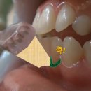 한양간호학원 - 천안시 서북구 불당21로 67-12 | 한양간호학원