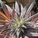 해시 호텔 이미지