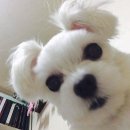 정신