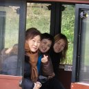 제주택시투어 후기 완벽한 여행했어요