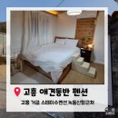 바다조아펜션 | 애견동반 제주여행.고흥 녹동신항 애견동반 펜션/ 거금도 스테이 수 펜션 내돈내산 솔직후기