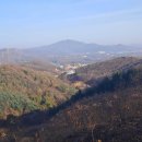 발랑1리 | 양주 파주의 점미산, 노고산, 자웅산