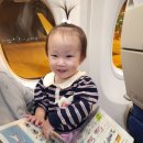 소라담하우스 | 나트랑여행 ep1.나트랑시내 3박 이모저모(맛집,담시장,롯데마트,포나가르사원,카페)