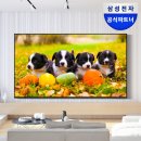 삼성광고&스포츠 | 75인치 삼성 비즈니스 TV, 3달 사용 실화? 갓성비 TV 후기