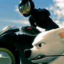 대신볼트 이미지