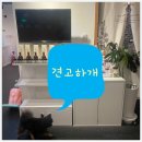 견고하개 이미지