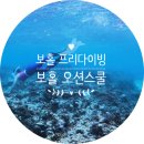 보홀 오션스쿨 아이랑 체험다이빙 대만족 후기