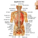 척주로 이미지