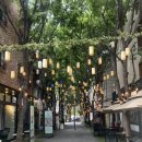 [경기도 용인] 죽전보정동카페거리 힙한 애플망고빙수가게 휘게커피, HYGGEE COFFEE