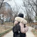 11650-16-173-17 | 어깨가 편한 르마스크 여행용 17인치 노트북 백팩 여자 직장인 가방