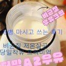 반도환경연구소 | [일상/제품리뷰/더맘A2우유]태안 낙농장인의 당일착유 비균질 프리미엄 더맘A2우유 8병 마신 후기