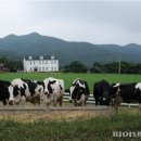 김영수농장 이미지